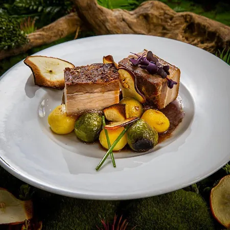 Galeria Thermal מלון