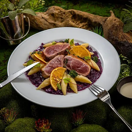 Galeria Thermal מלון